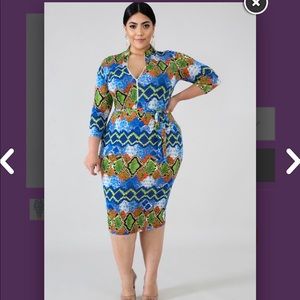 Snake Print Dress Waist Belt Stretchy Mid Length Blue Green White Orange Red New